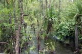 Litchfield Park, image of landscape/habitat.