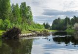 Башенёвский мост и окрестности, изображение ландшафта.