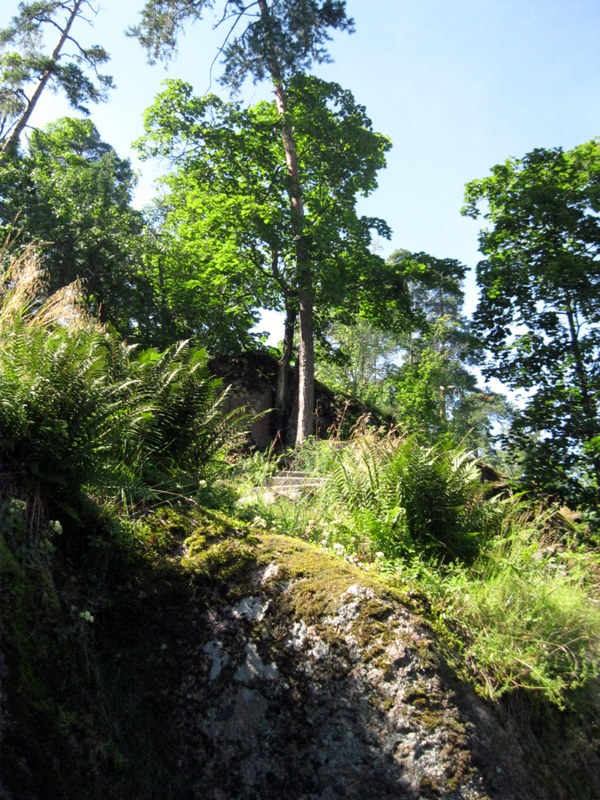 Выборг, image of landscape/habitat.