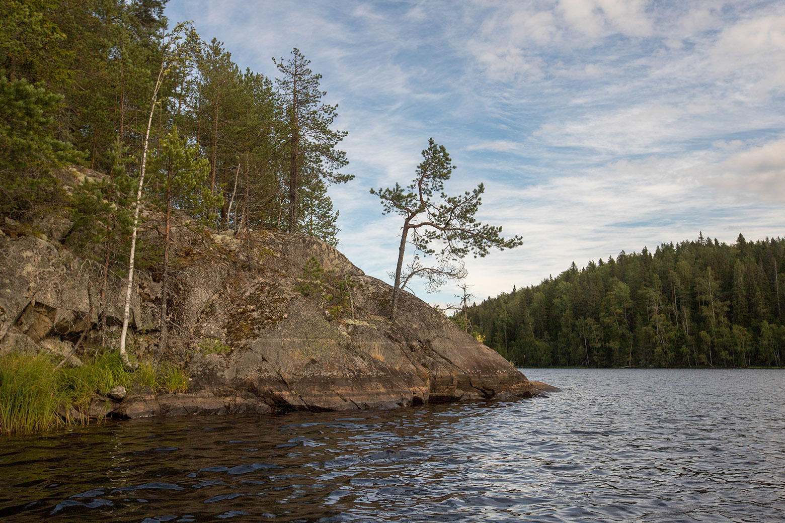 Ристиярви, image of landscape/habitat.