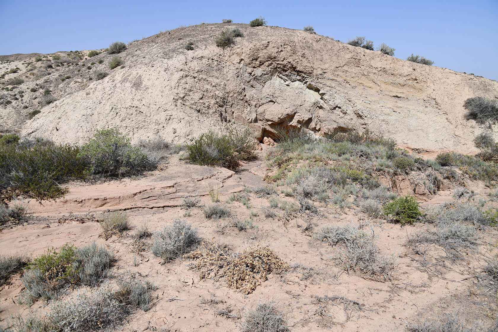 Бала-Богуты, image of landscape/habitat.