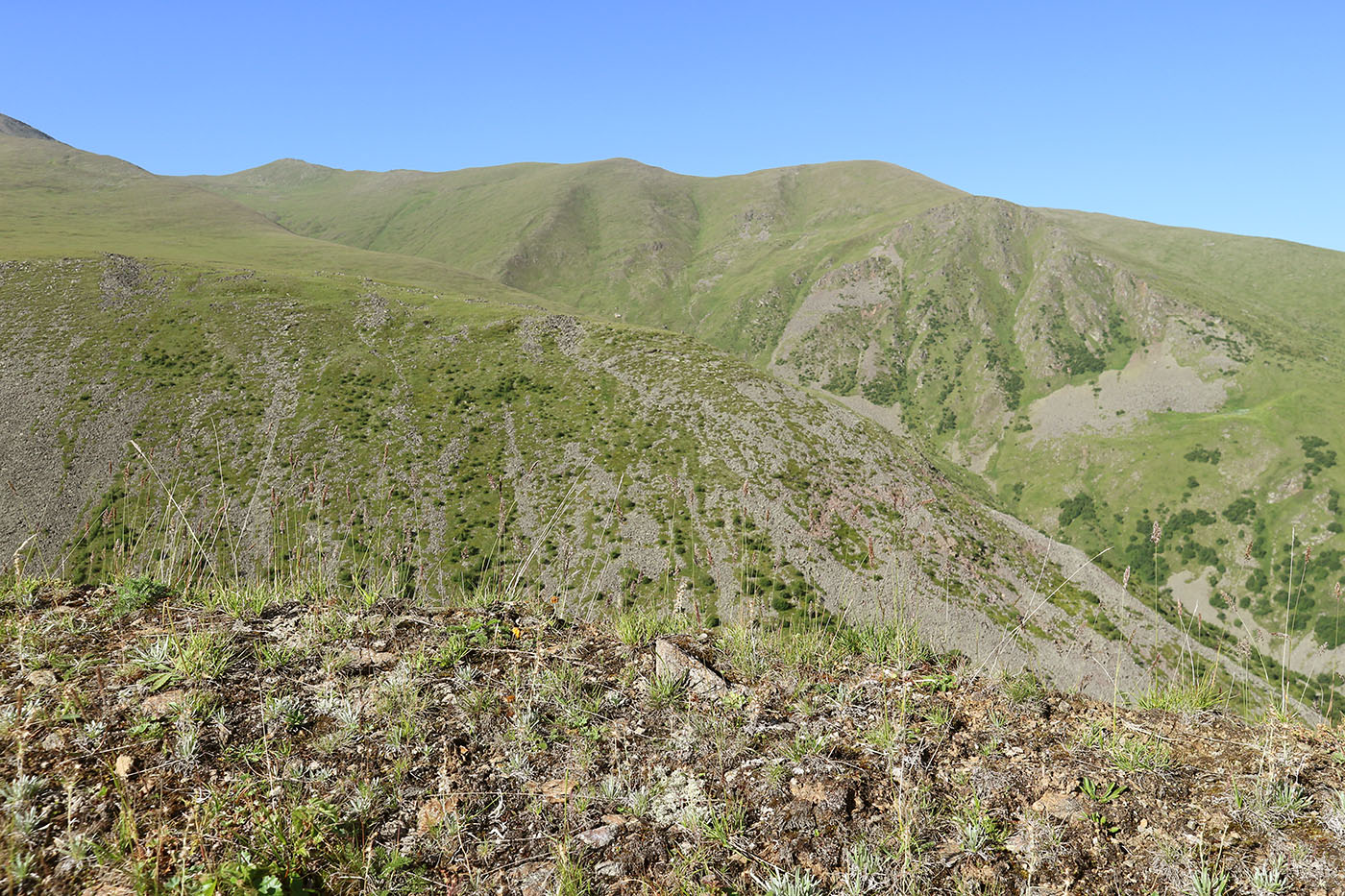 Чегетджара, image of landscape/habitat.