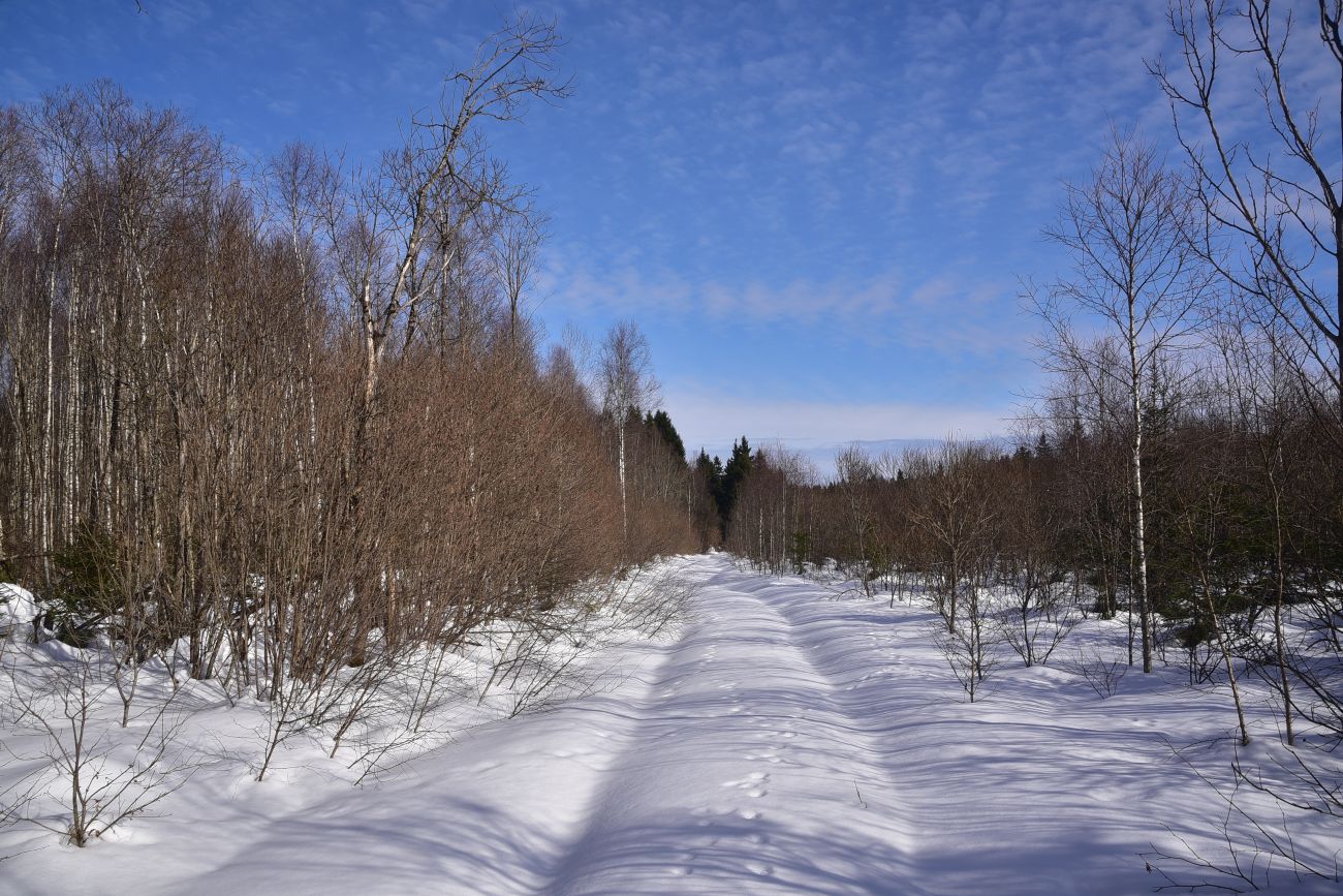 Каверино, изображение ландшафта.