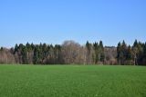 Чёлоховский пруд, image of landscape/habitat.