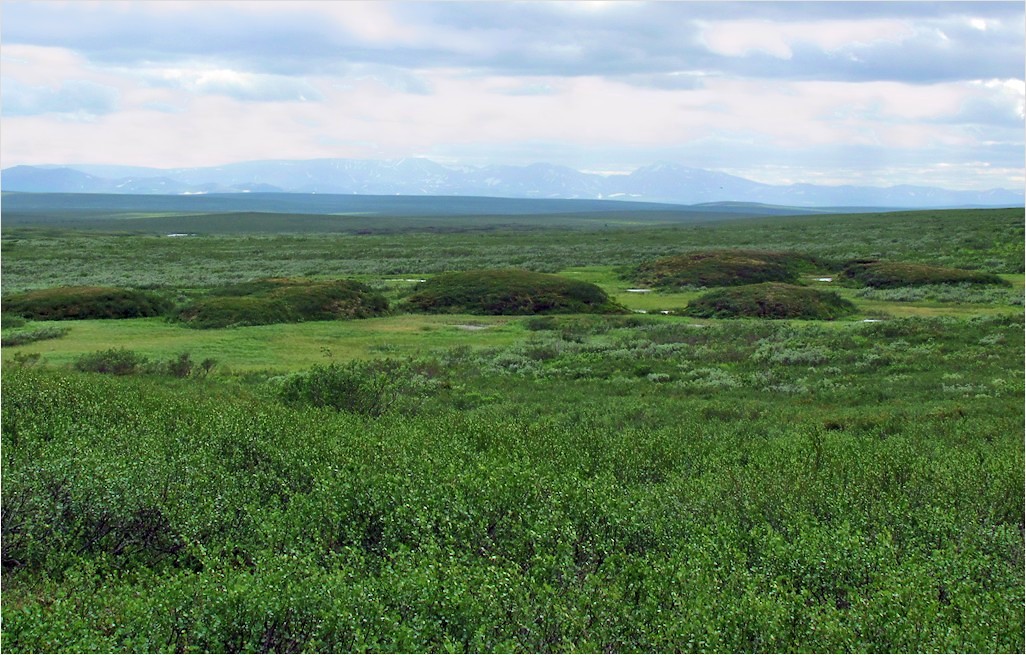 Лёкъелец, image of landscape/habitat.