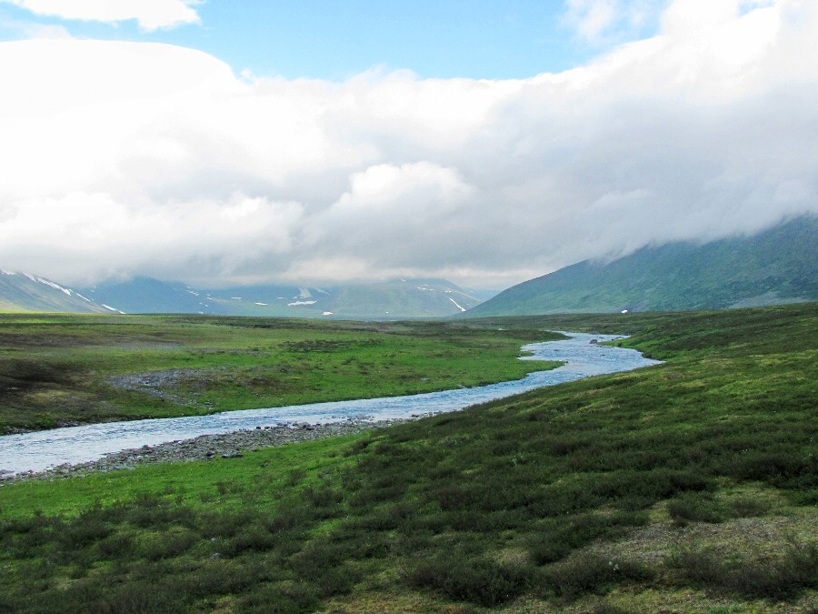 Верховья Большой Усы, image of landscape/habitat.