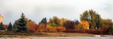Image of landscape