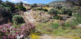 Image of landscape