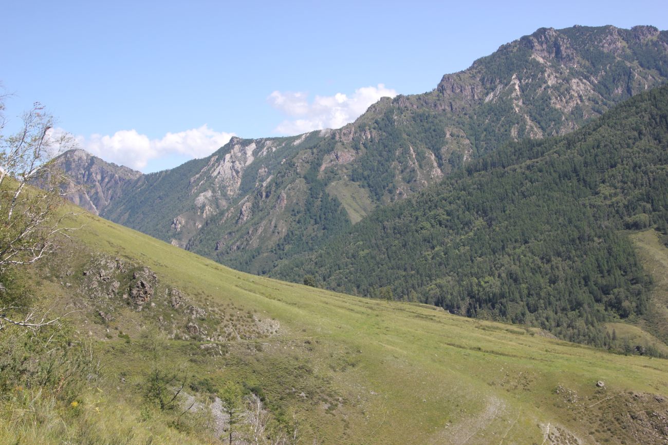 Окрестности лога Ядрушка, image of landscape/habitat.