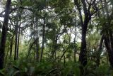 Litchfield Park, image of landscape/habitat.