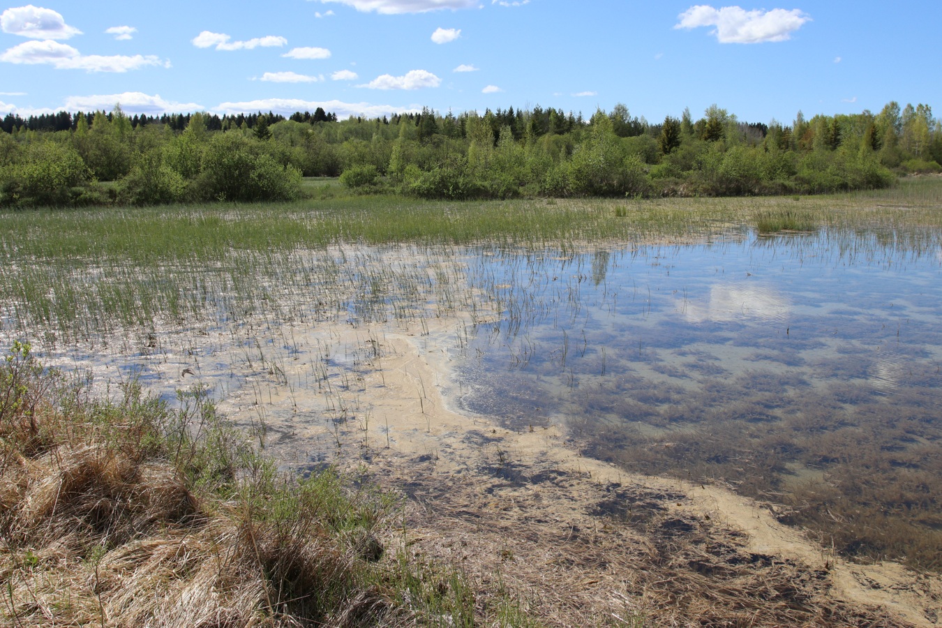Окрестности Пудости, image of landscape/habitat.