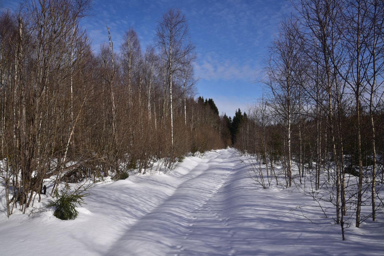 Каверино, изображение ландшафта.