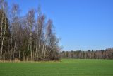 Чёлоховский пруд, image of landscape/habitat.