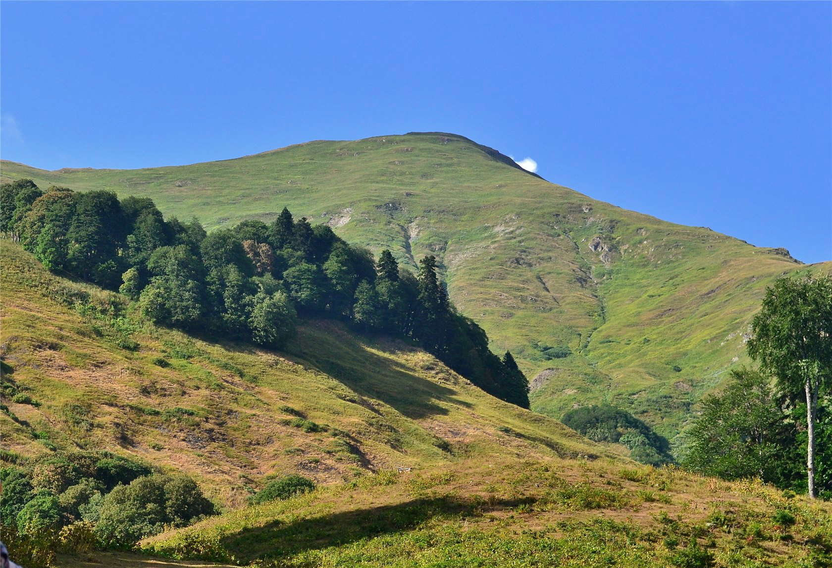 Авадхара (Ауадхара), image of landscape/habitat.