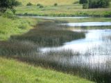 Корожечна у Спасского, image of landscape/habitat.