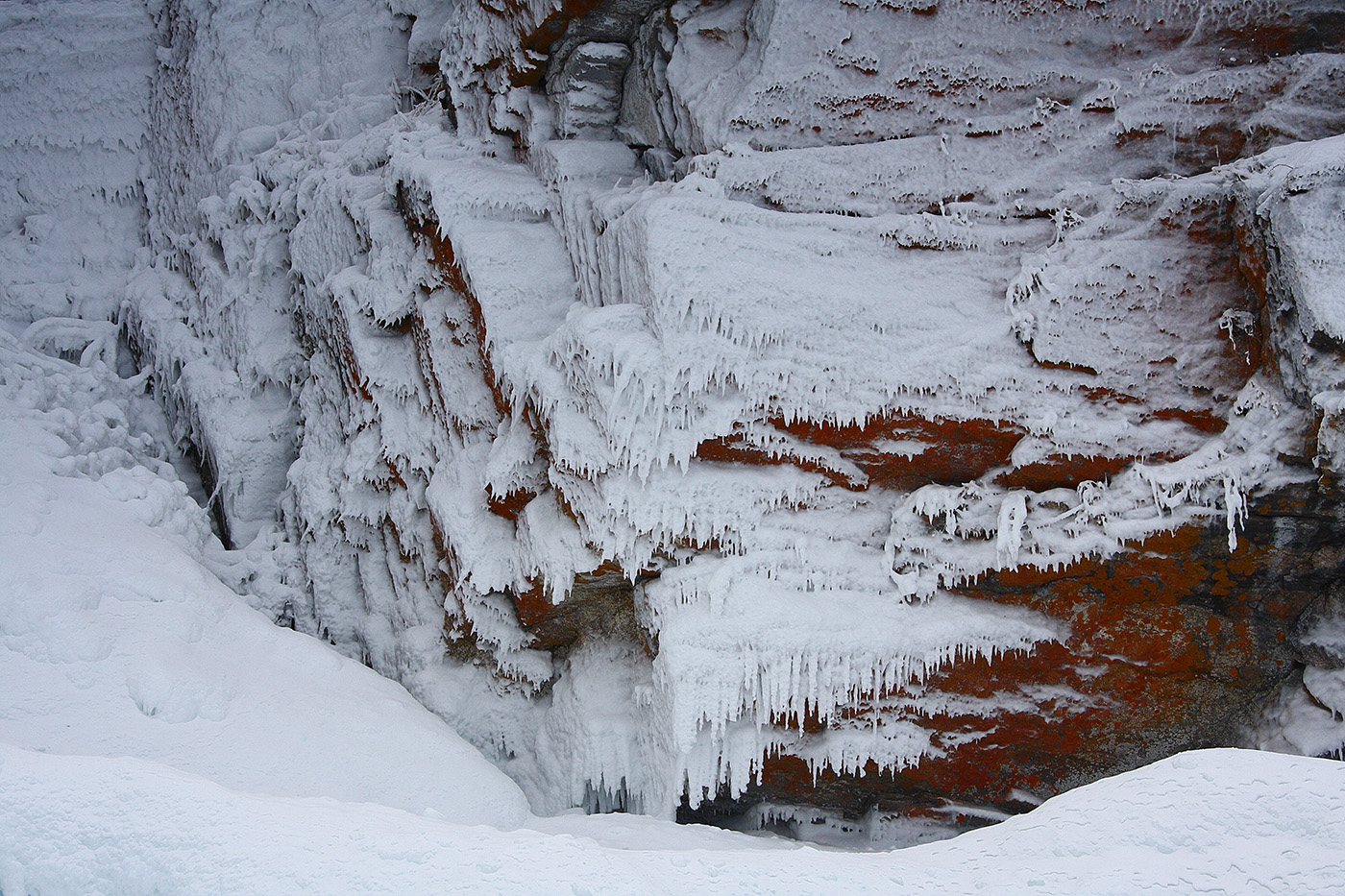 Мыс Уюга, image of landscape/habitat.