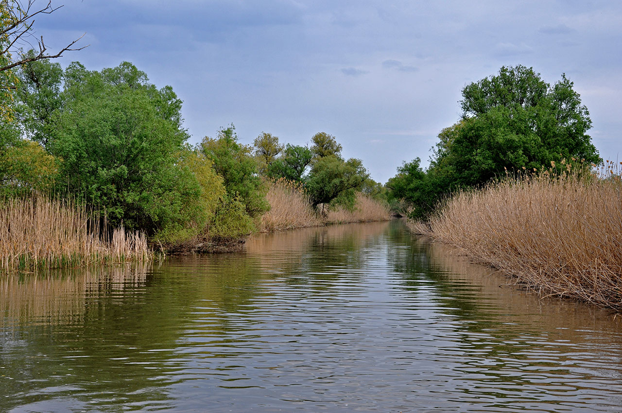 Астраханский заповедник (Дамчик), image of landscape/habitat.