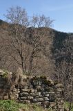 Image of landscape