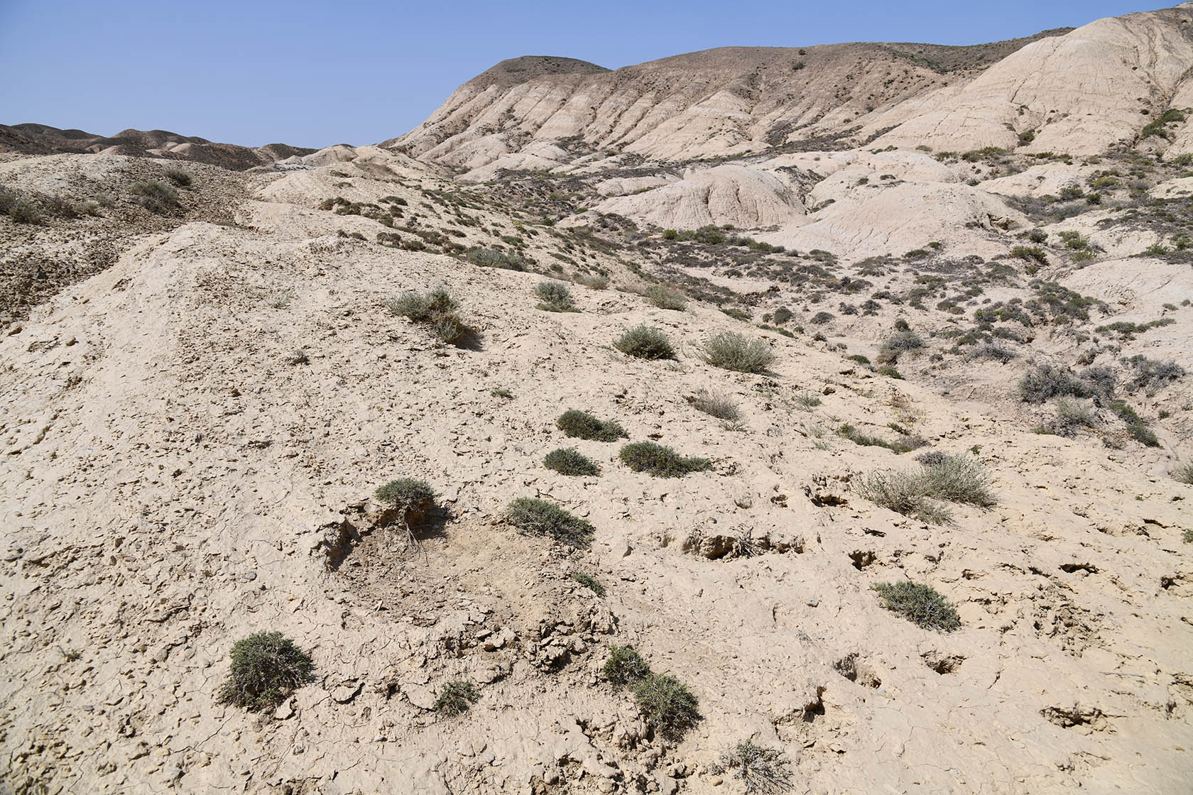 Бала-Богуты, image of landscape/habitat.