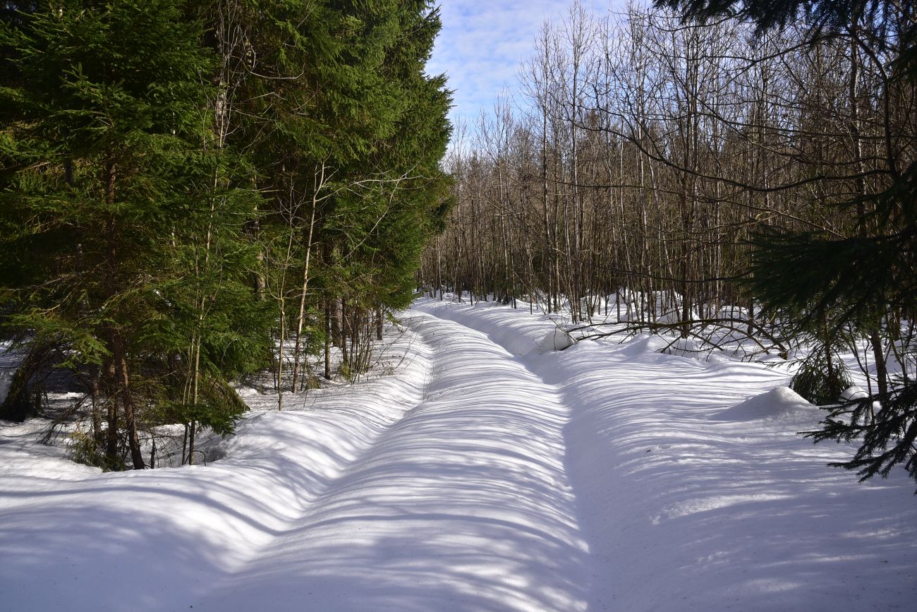 Каверино, image of landscape/habitat.