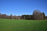 Чёлоховский пруд, image of landscape/habitat.