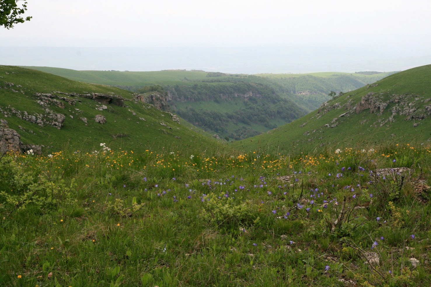 Массив Больше, image of landscape/habitat.