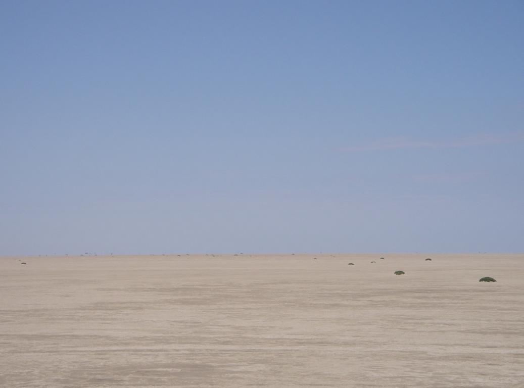 Бывшее дно Аральского моря, image of landscape/habitat.