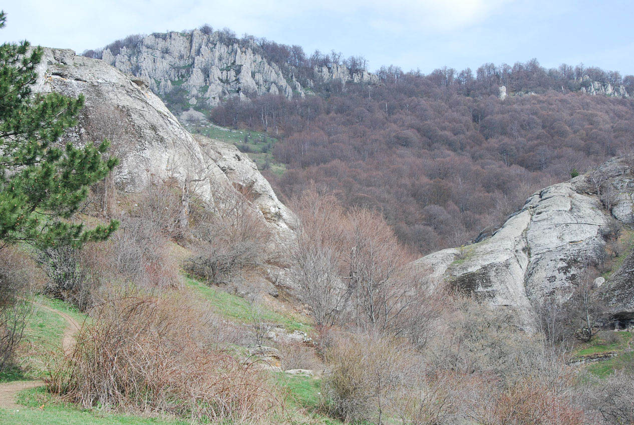 Водопад Джурла, image of landscape/habitat.