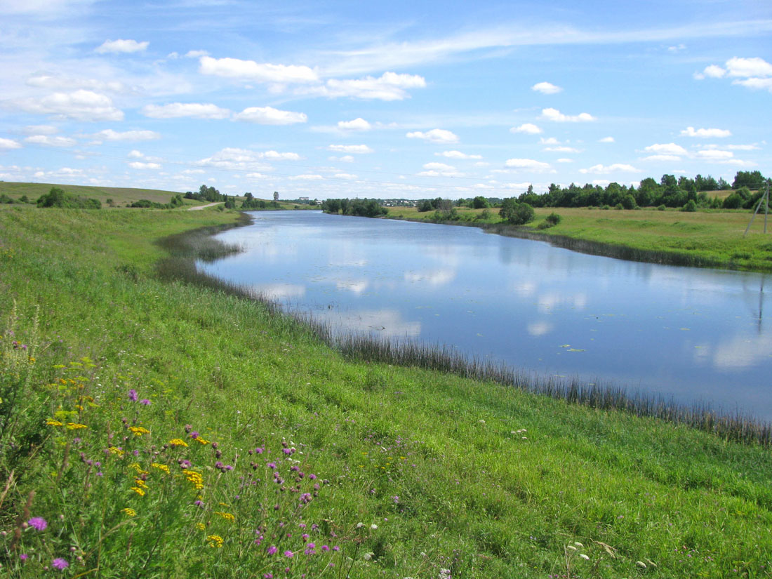Корожечна у Спасского, image of landscape/habitat.