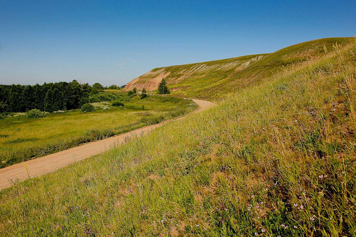 Увал у с. Татарское Утяшкино, image of landscape/habitat.