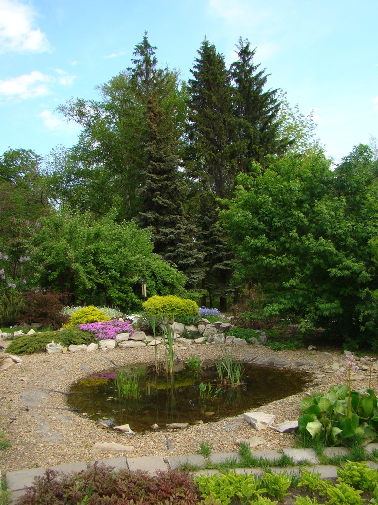 Ботанический сад Пензенского ГУ, image of landscape/habitat.