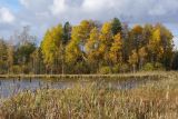 Лаппелово, image of landscape/habitat.