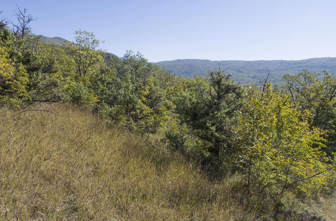 Щель Церковная, image of landscape/habitat.