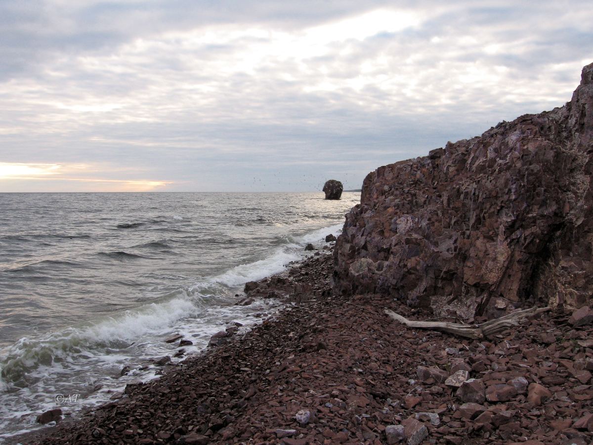 Аметистовый берег, image of landscape/habitat.