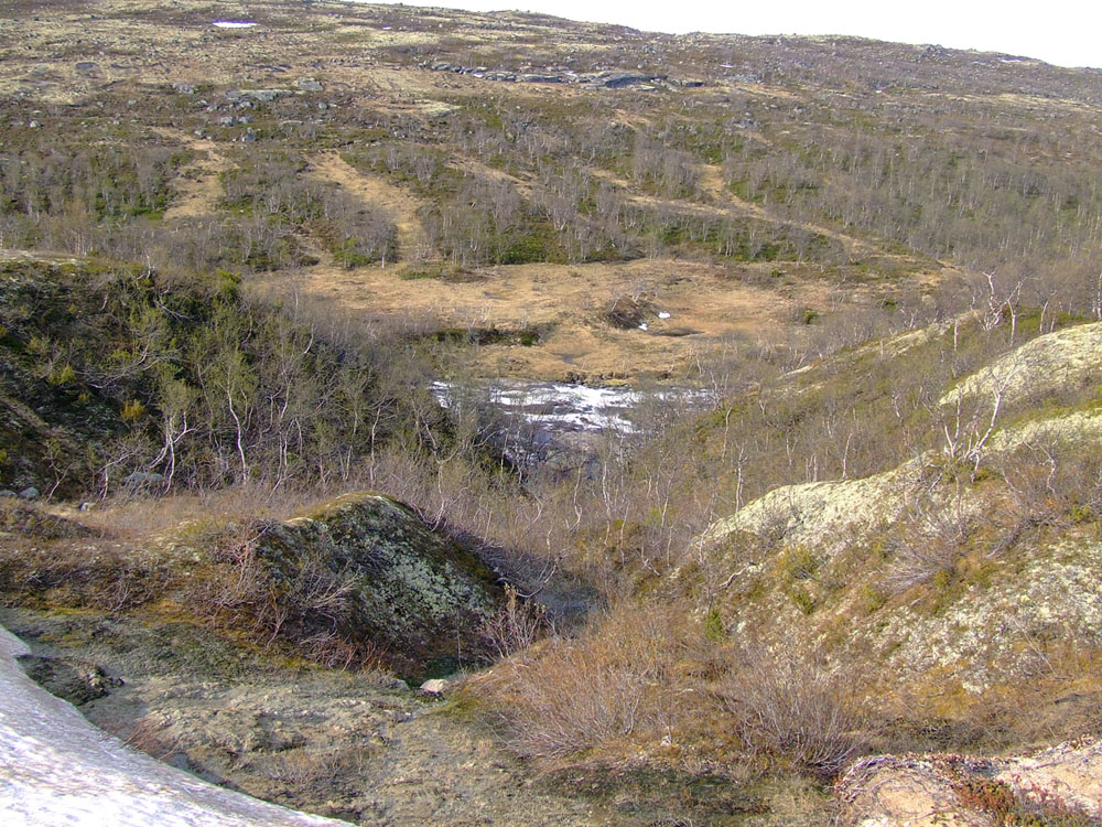 Туманный, image of landscape/habitat.