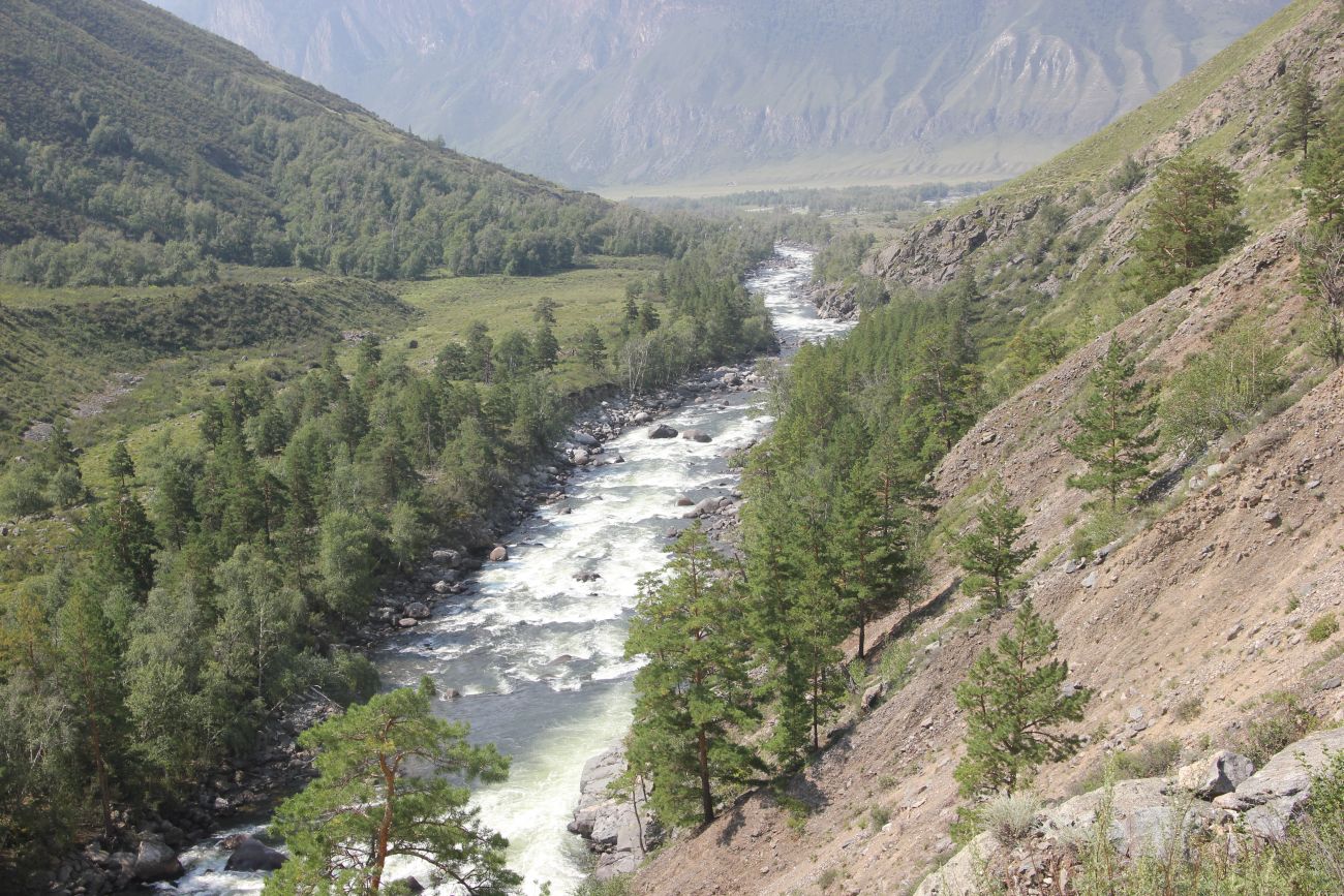 КПП Алтайского заповедника, image of landscape/habitat.