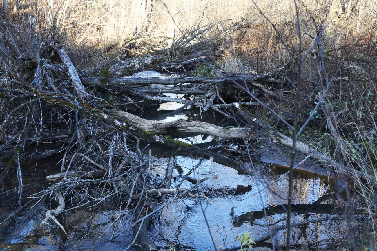 Вокруг хутора учителей Дёшиных, image of landscape/habitat.