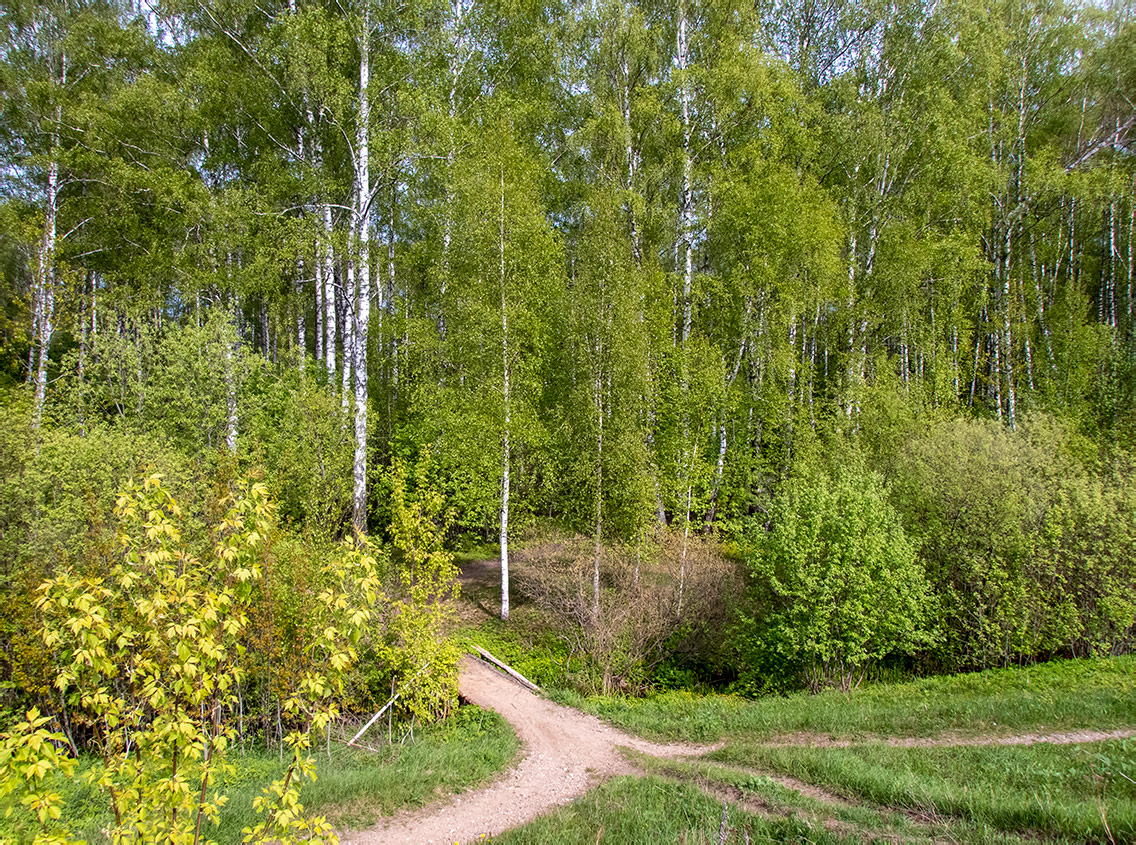 Дубна, image of landscape/habitat.