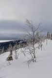 Image of landscape