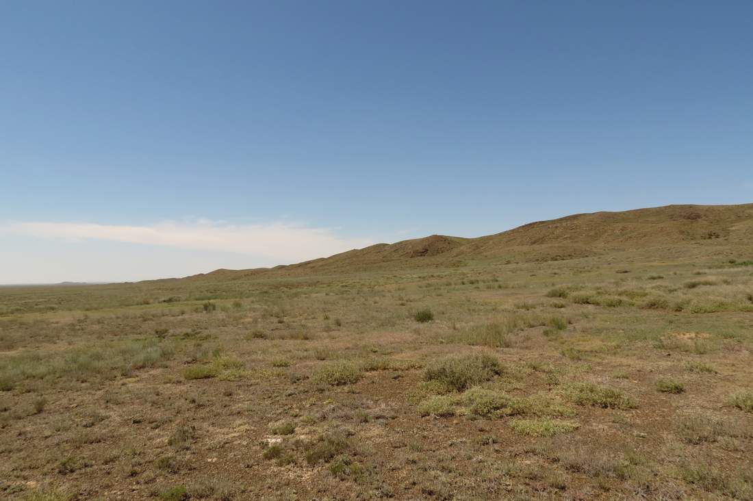 Горы Кугунь, image of landscape/habitat.