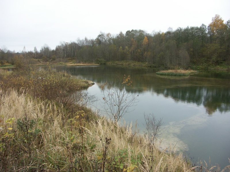 Верховья реки Шингарки, image of landscape/habitat.