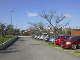 Frascati (Rome), image of landscape/habitat.