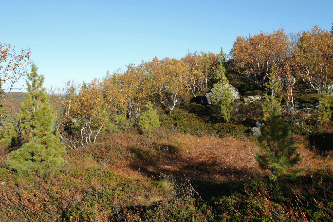 Могильный Ров, image of landscape/habitat.