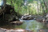Image of landscape