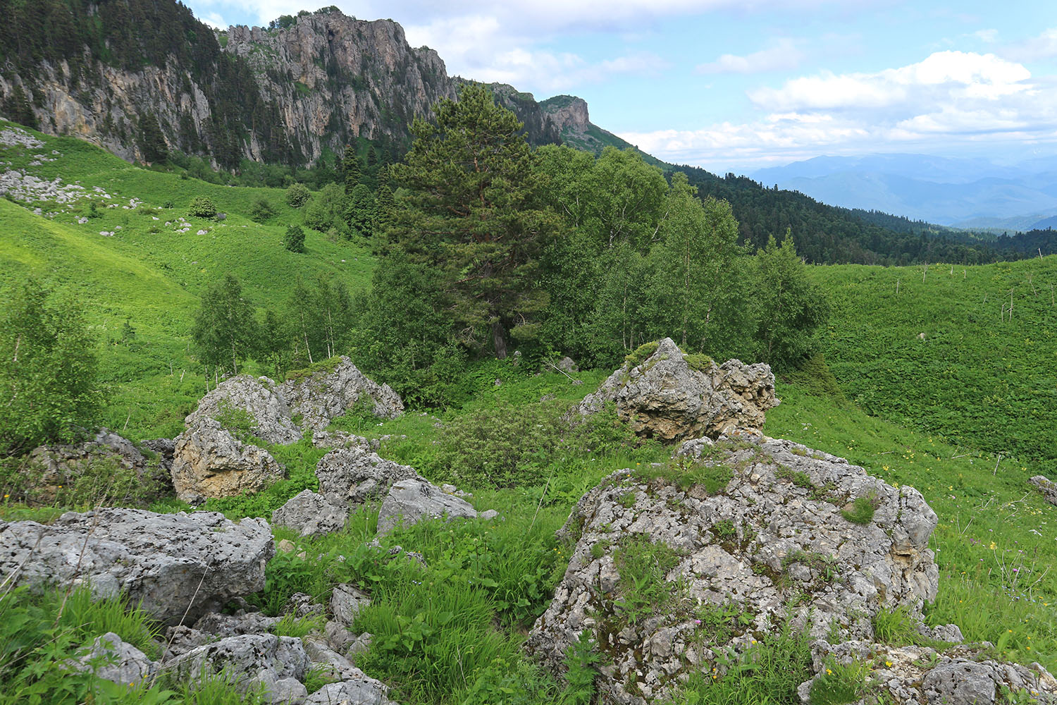 Яворова Поляна, изображение ландшафта.
