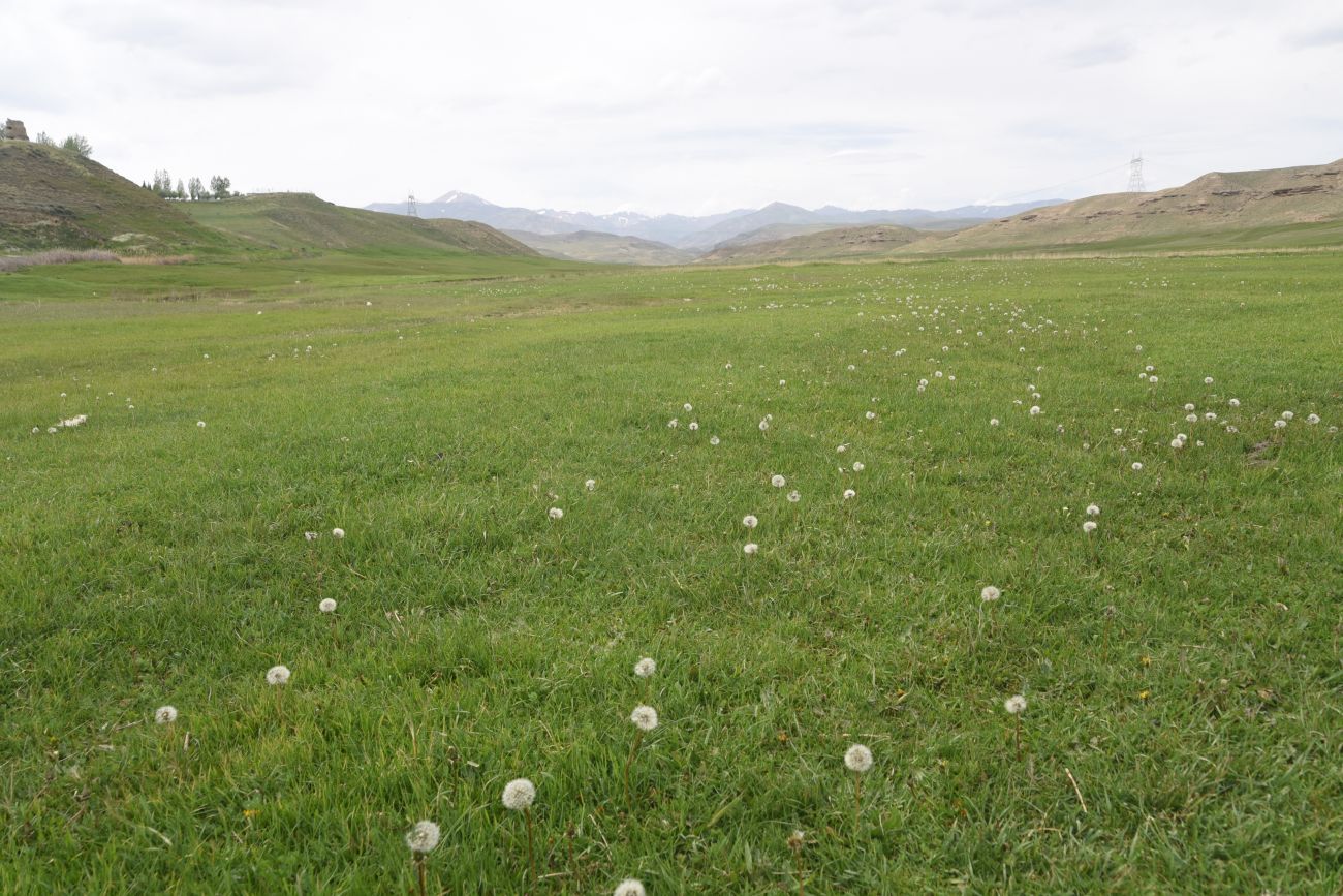 Албайрак, image of landscape/habitat.