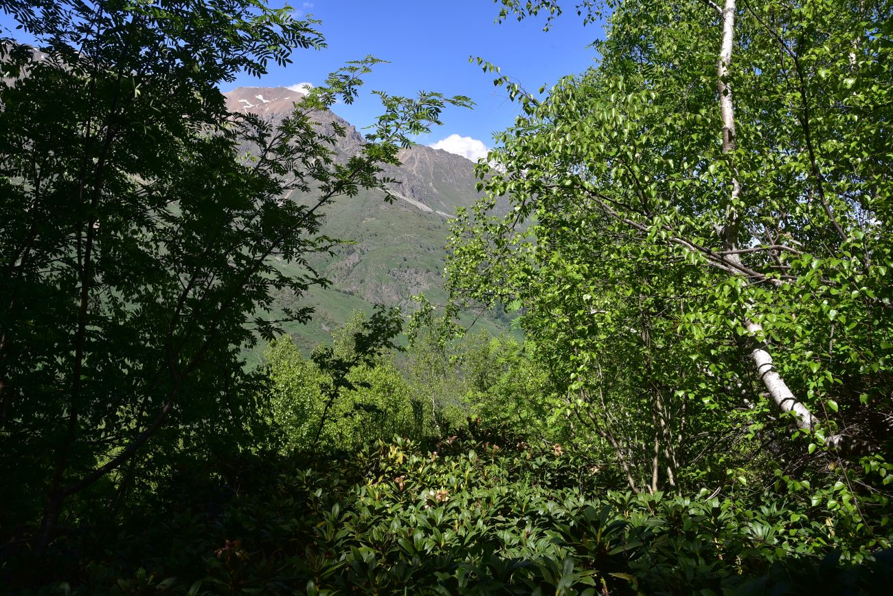 Река Когутайка, image of landscape/habitat.