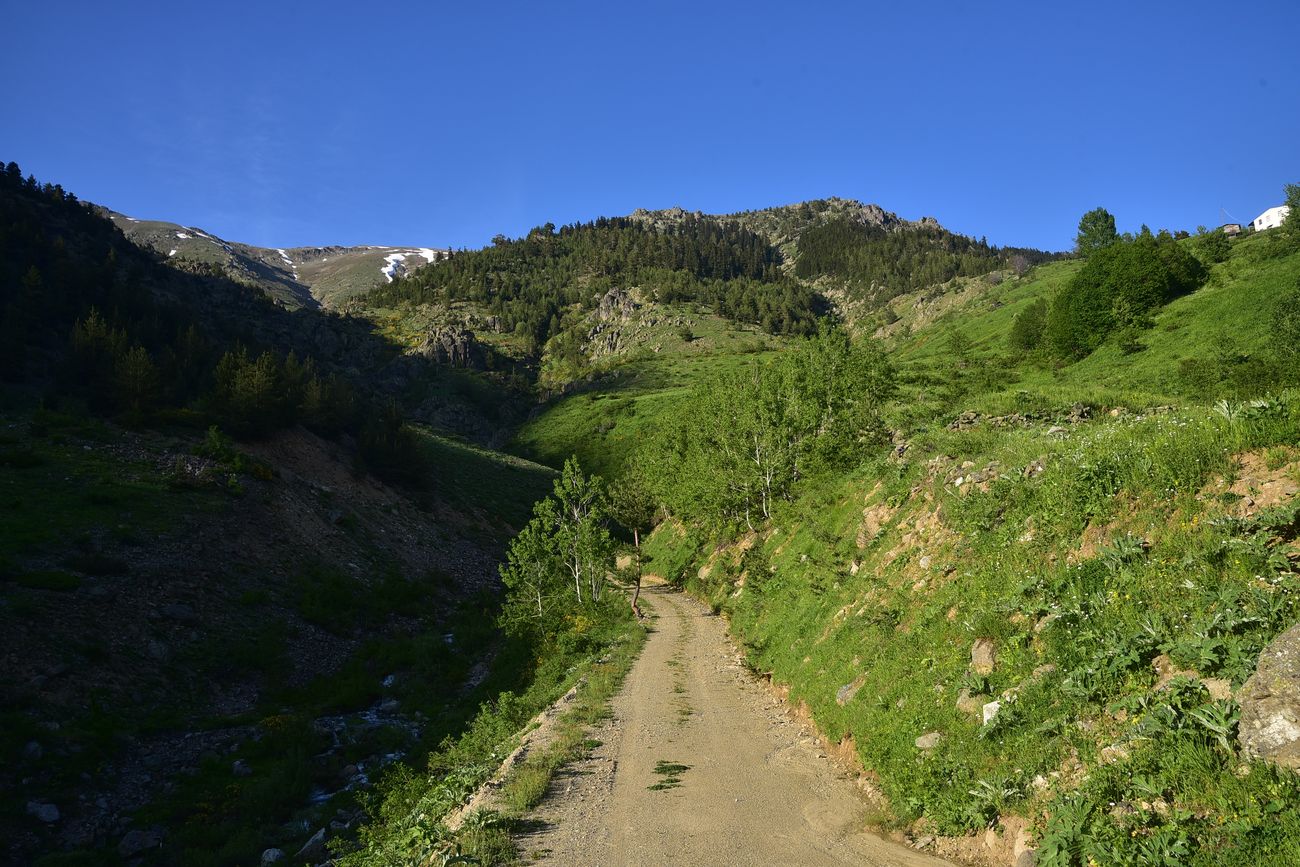 Дамлаташ, image of landscape/habitat.