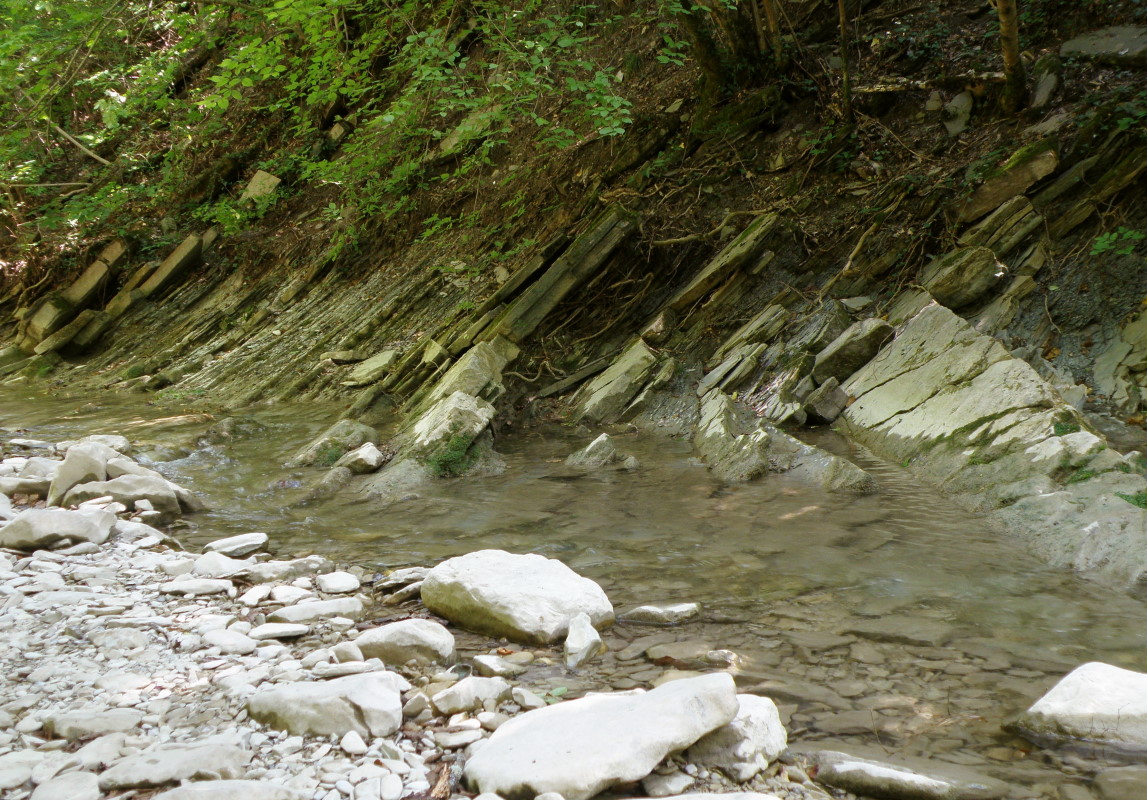 Долина реки Жанэ, image of landscape/habitat.