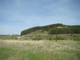 Image of landscape